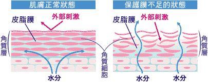 化妆学校培训化妆_化妆健康_化妆对比 美女们化妆前后