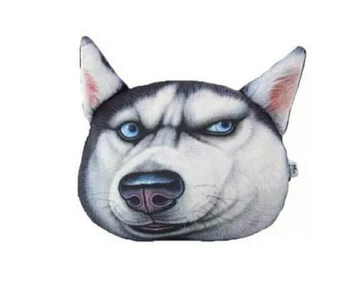 物流管理的毕业生,在采购员,仓管员,报关员,以及