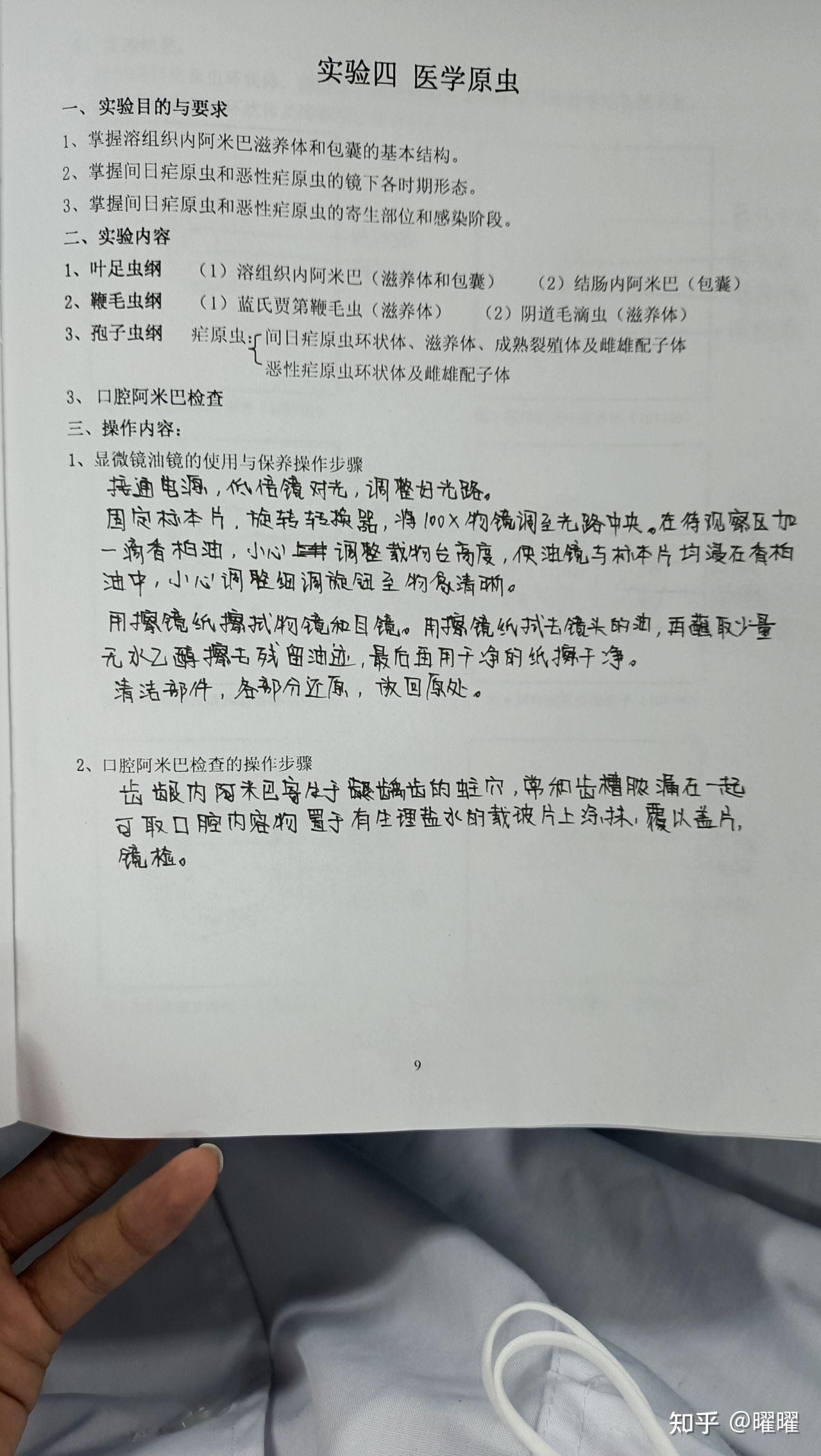 醫學原蟲蛔蟲卵,鞭蟲卵,蟯蟲卵,鉤蟲卵三,線蟲綱豬帶絛蟲孕節,牛帶