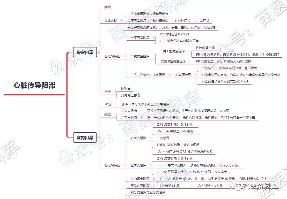 内科学思维导图笔记–第四篇–心律失常