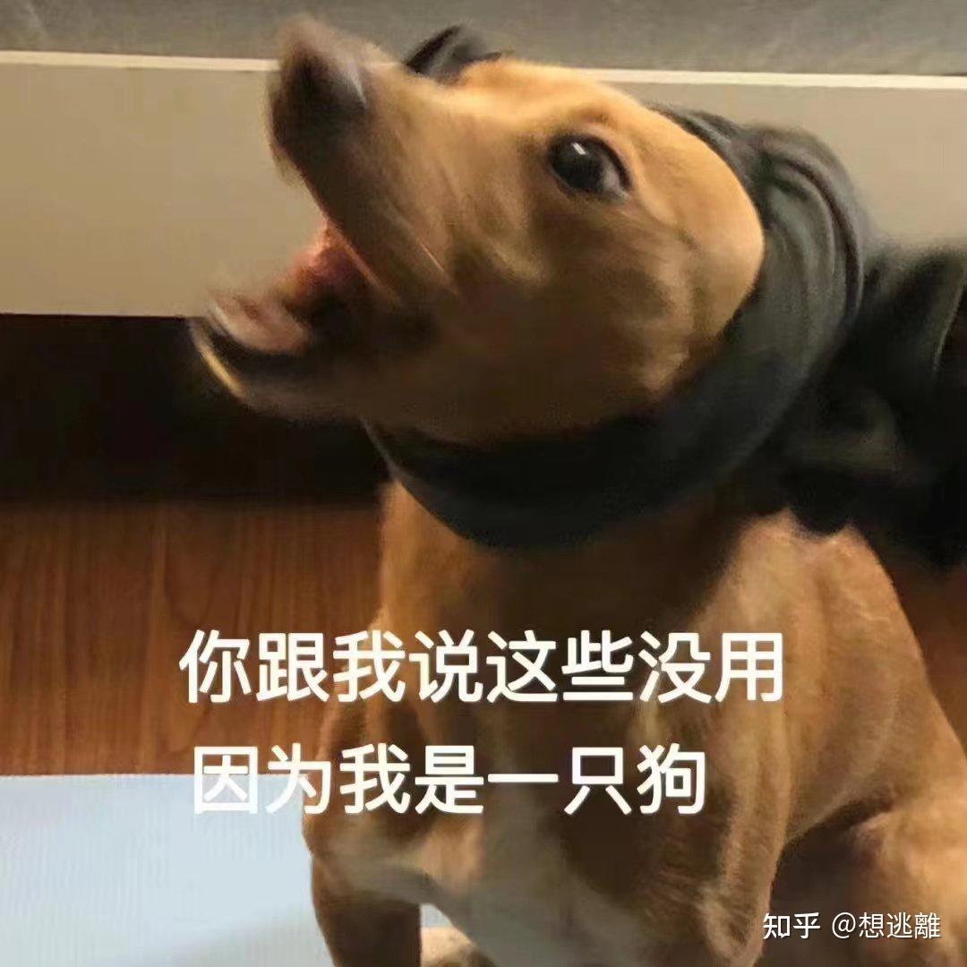 斗图必备搞笑表情包|啊对对对 你说的都对 - 知乎