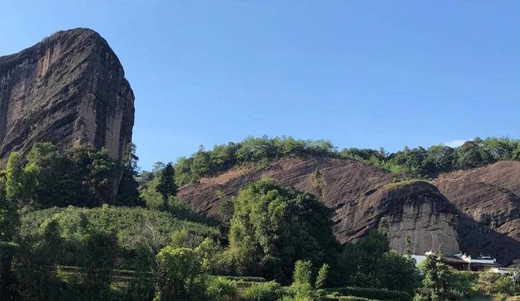 详解岩茶为何叫岩茶武夷山的三坑两涧一窠36峰72洞99岩分别指哪些地方