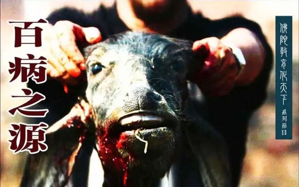 狐狸在梦中说你害我一命我杀你三口