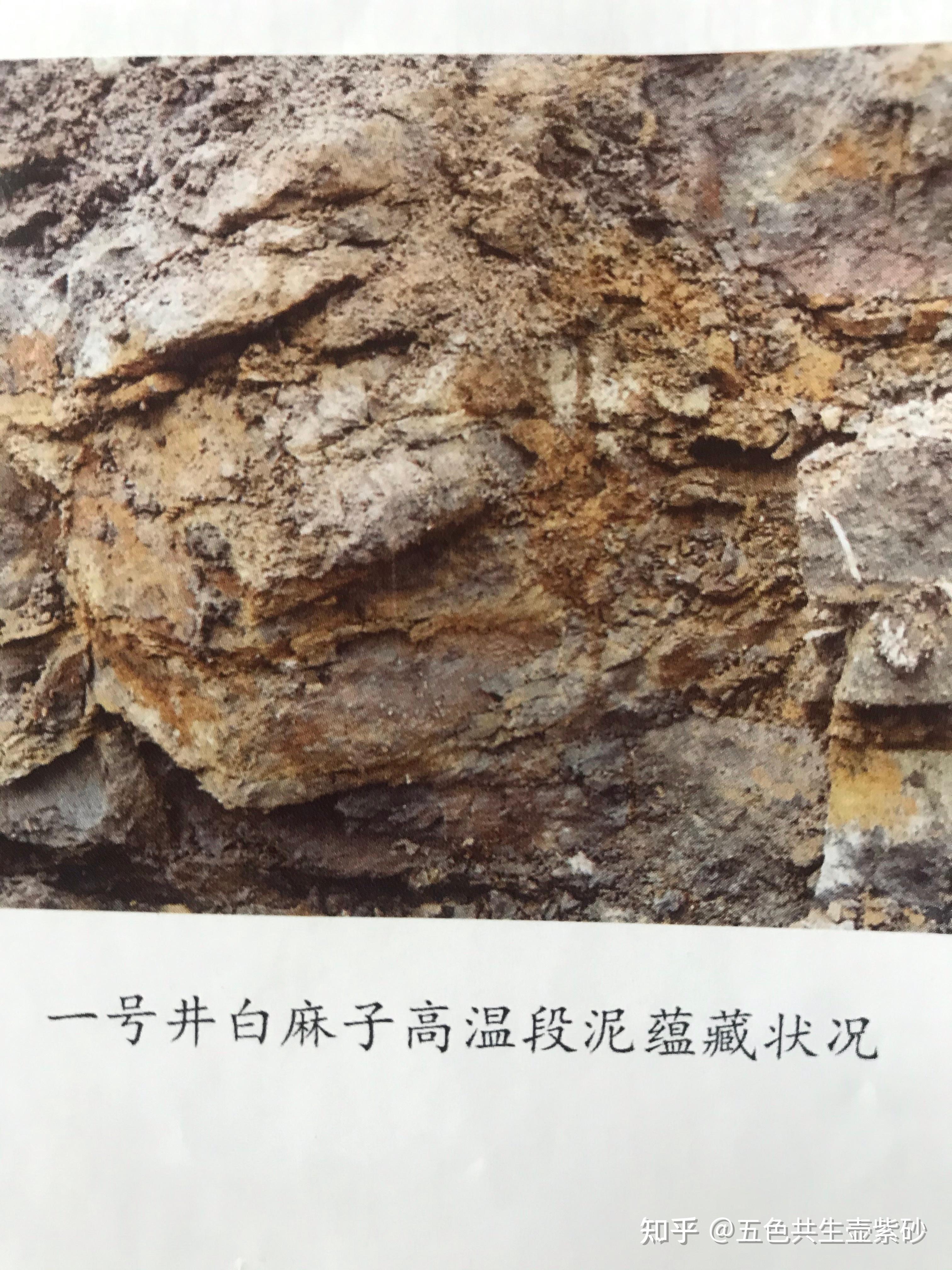 黄龙山珍稀麻子高温段泥共生矿的形成与藴藏特点？（第一节 - 知乎