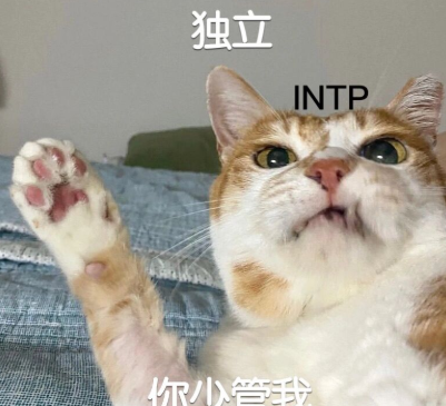 intp男和intp女在一起|intp女朋友|intp的完美情人|intp和intj情侣|intp和infp情侣 - 知乎