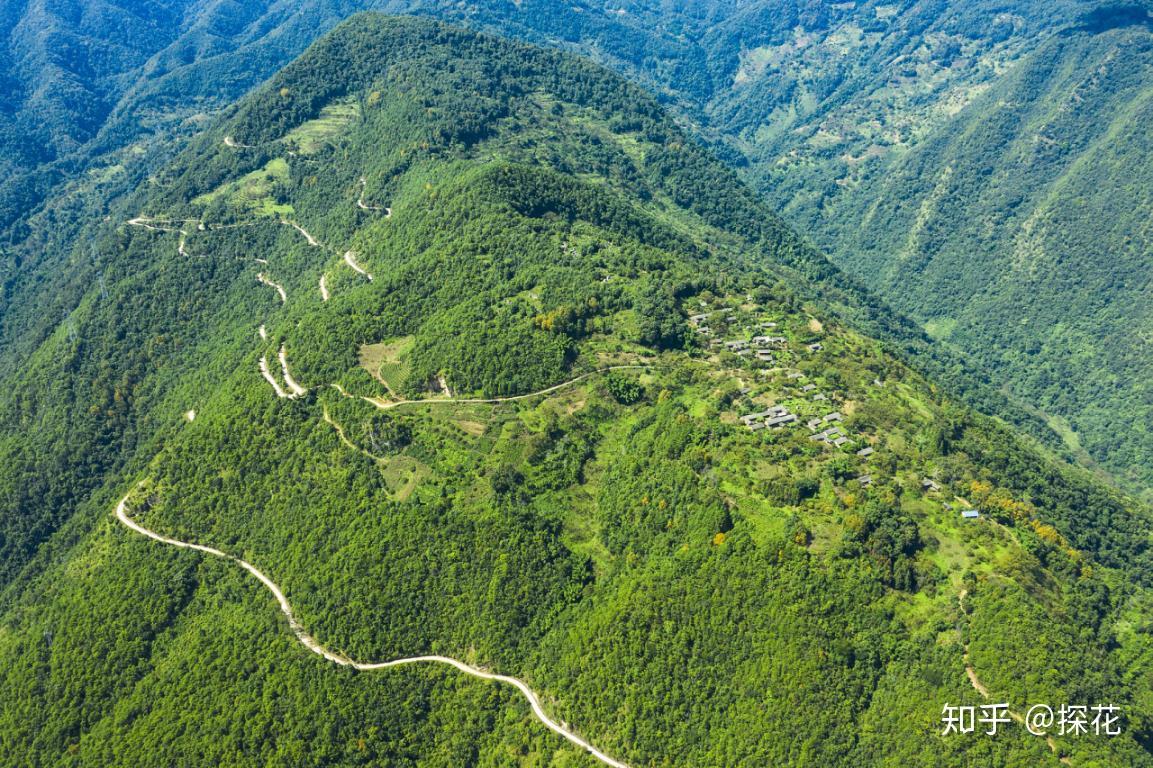 高黎貢山有生之年要去一次