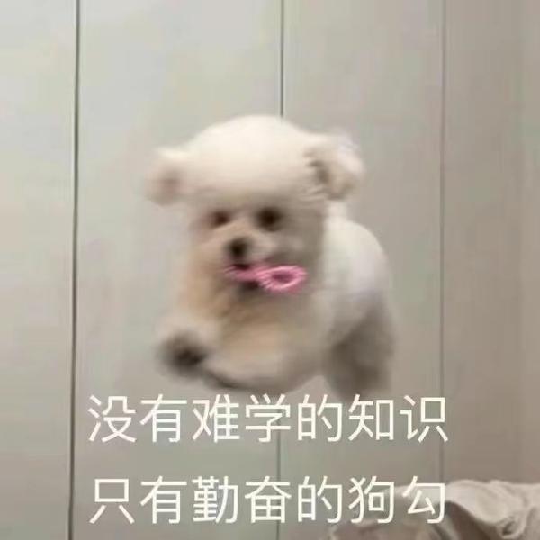 关于我2022年总结的表情包~ - 知乎