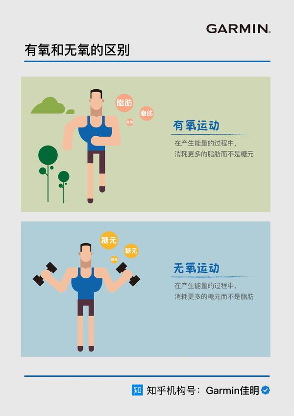 对耐力选手来说特别重要的有氧能力,到底指什么?