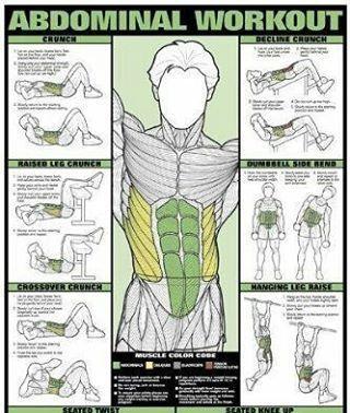 总算是找齐了 成套的肌肉图解 小编国外找了半天 赶快收藏 知乎