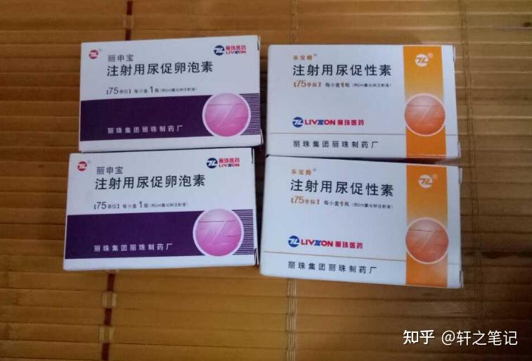 不惧股价回调高瓴资本抄底了这只三胎概念股丽珠集团