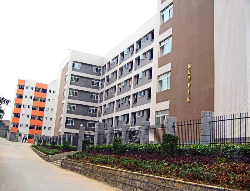 考不上高中上卫校选择什么专业好