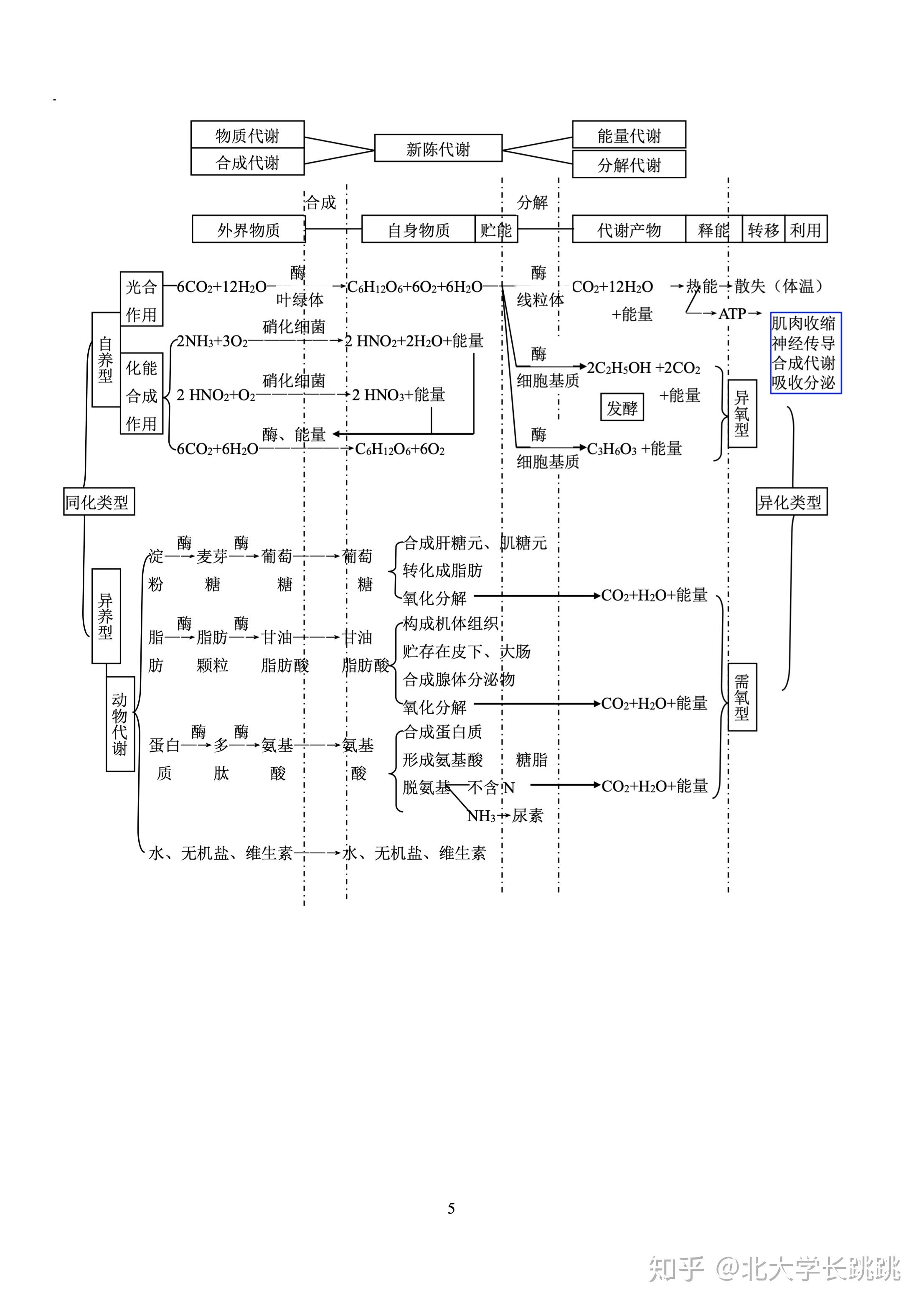 高中生物知识框图图片