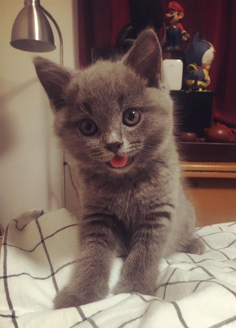 蓝胖子不胖全集在线观看 v2-26aac4bda1867b66065842621534c82b_r.jpg