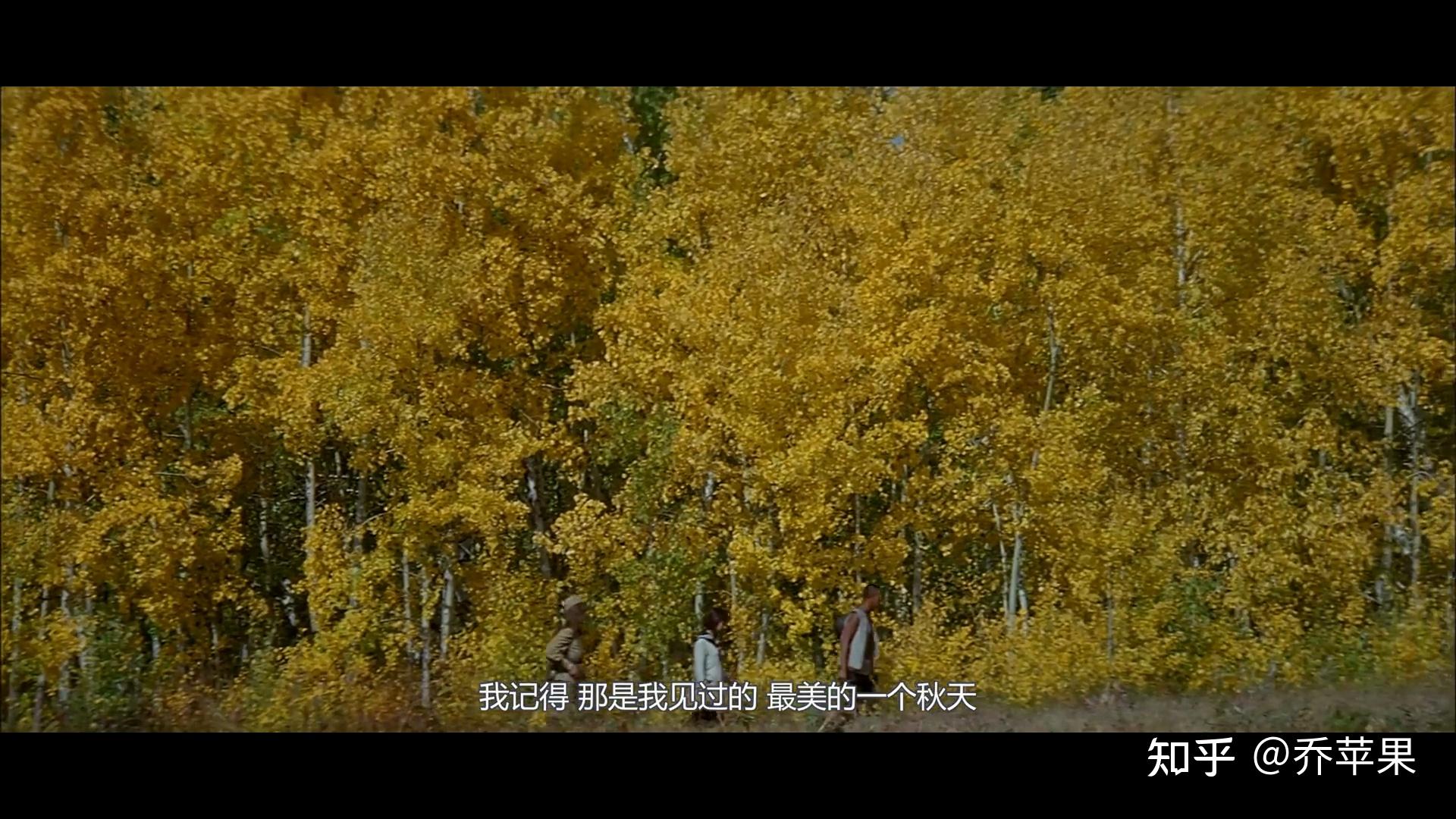 真正的反战电影写于紫日上映20周年