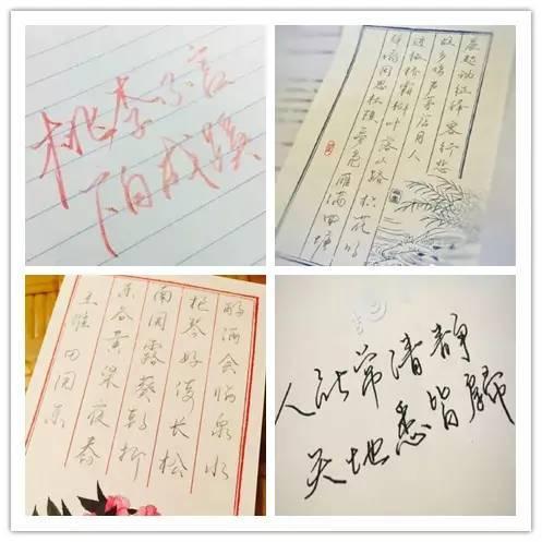 这个一米八高的00后女生诠释了中国才女的定义