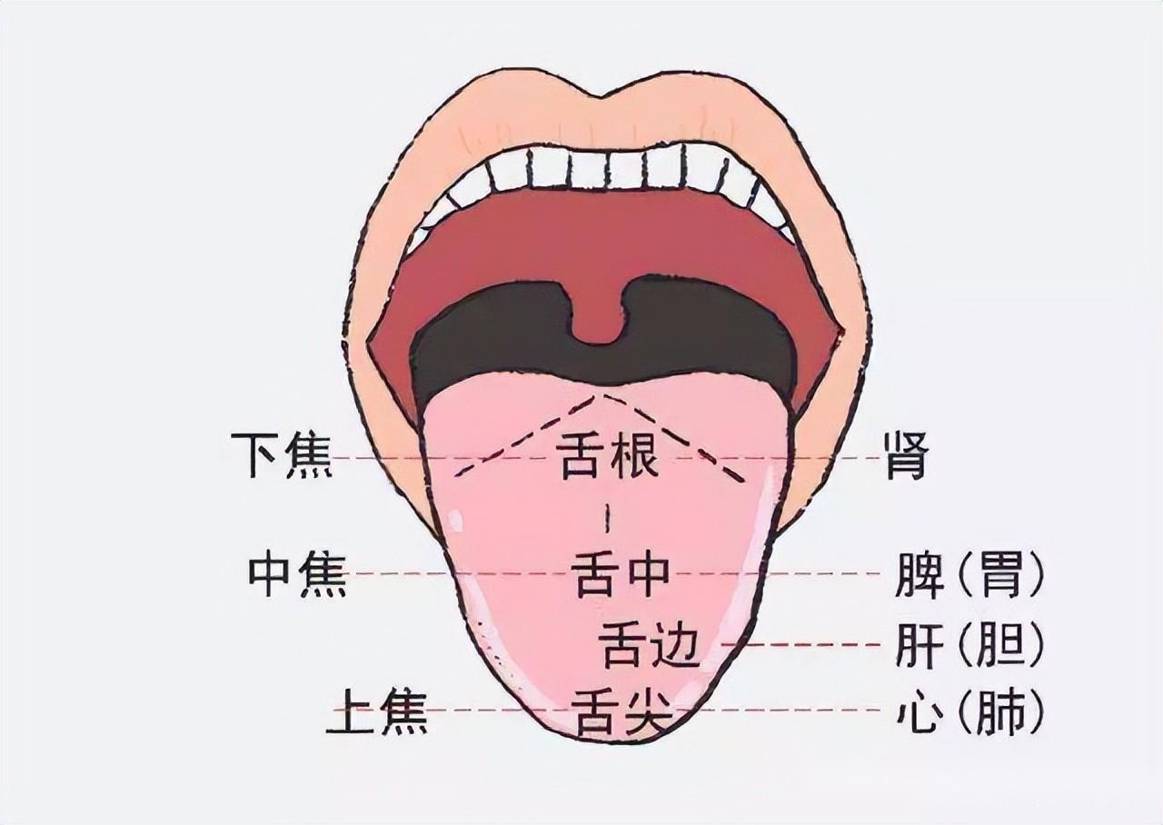 我这舌头红点是怎么回事？ 这正常吗？_百度知道
