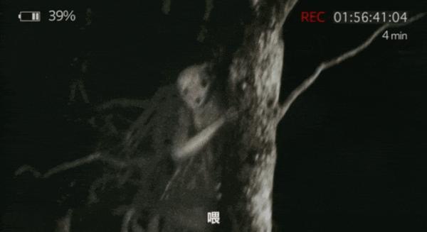 伪纪录片鬼才导演又出手了，《近畿怪谈》恐怖拉满！