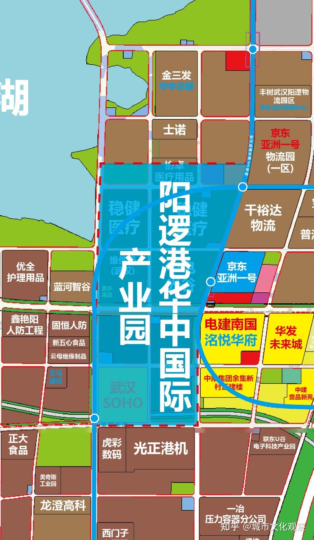 武汉新洲未来五年规划图片