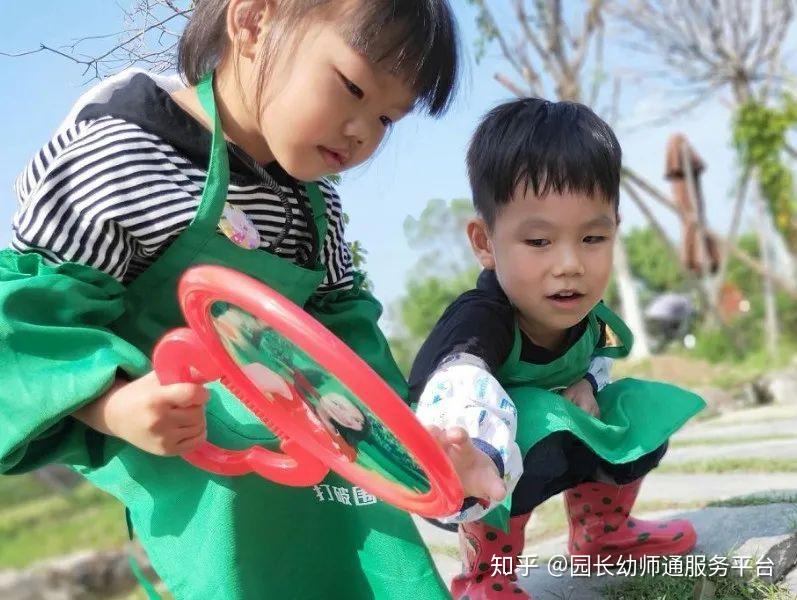 夏日将尽，快带孩子去大自然“寻宝”吧，这里有方案！ - 知乎