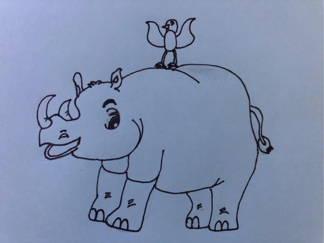 犀牛和犀牛鸟简笔画图片