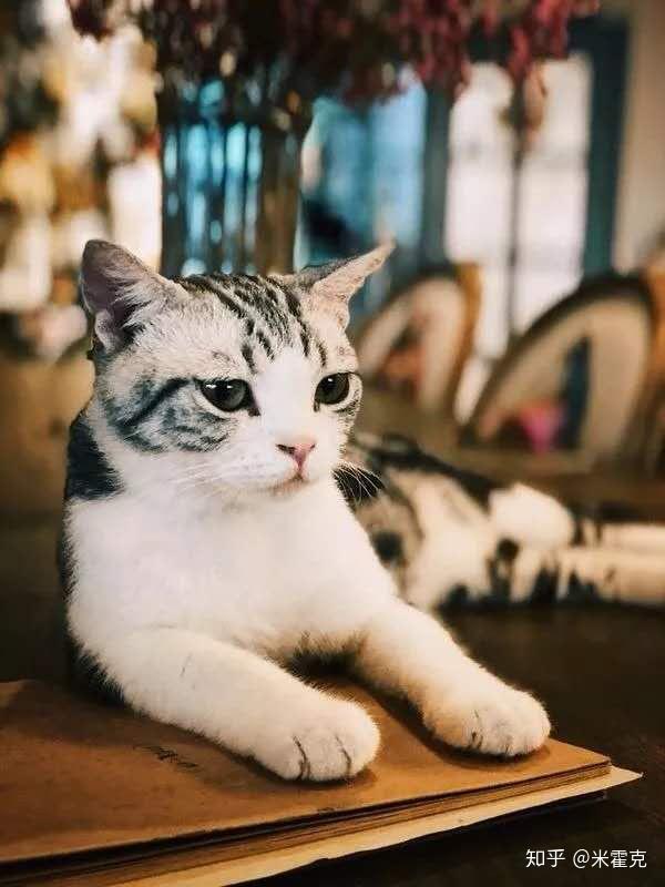 背景虚化