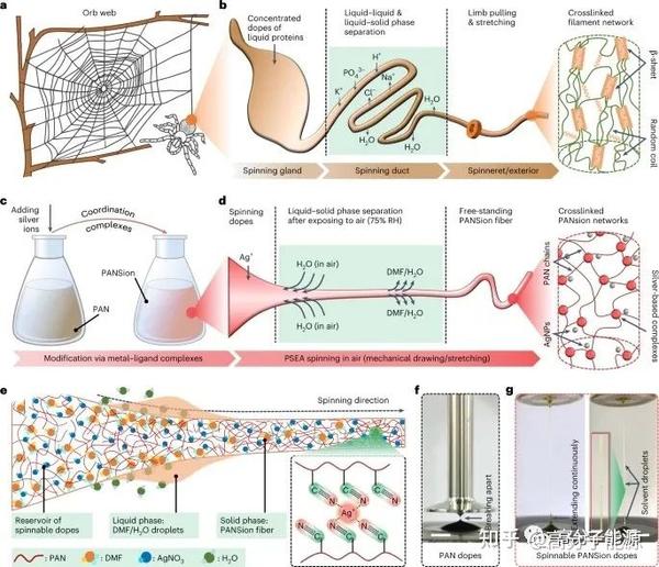 吉大朱有亮等Nature Electronics仿生纺丝技术开发柔性可拉伸导电纤维 - 知乎