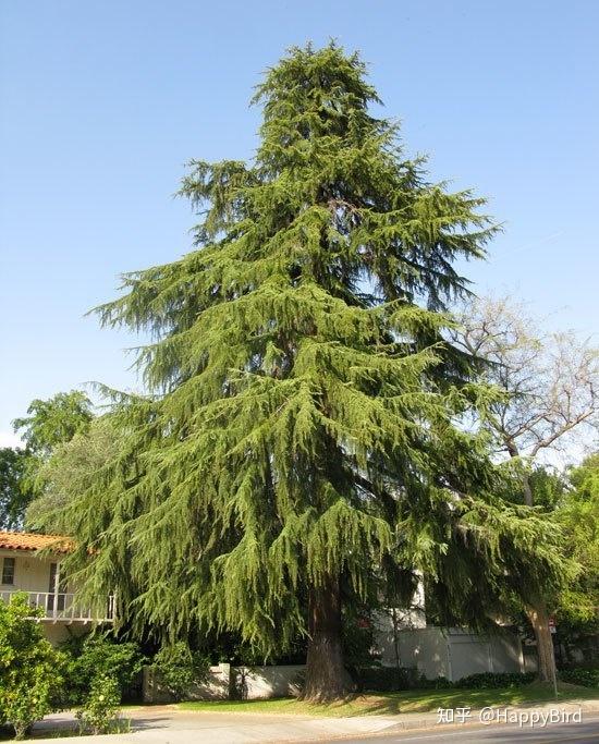 vicar, bursar, scholar).the-arending is also found in some