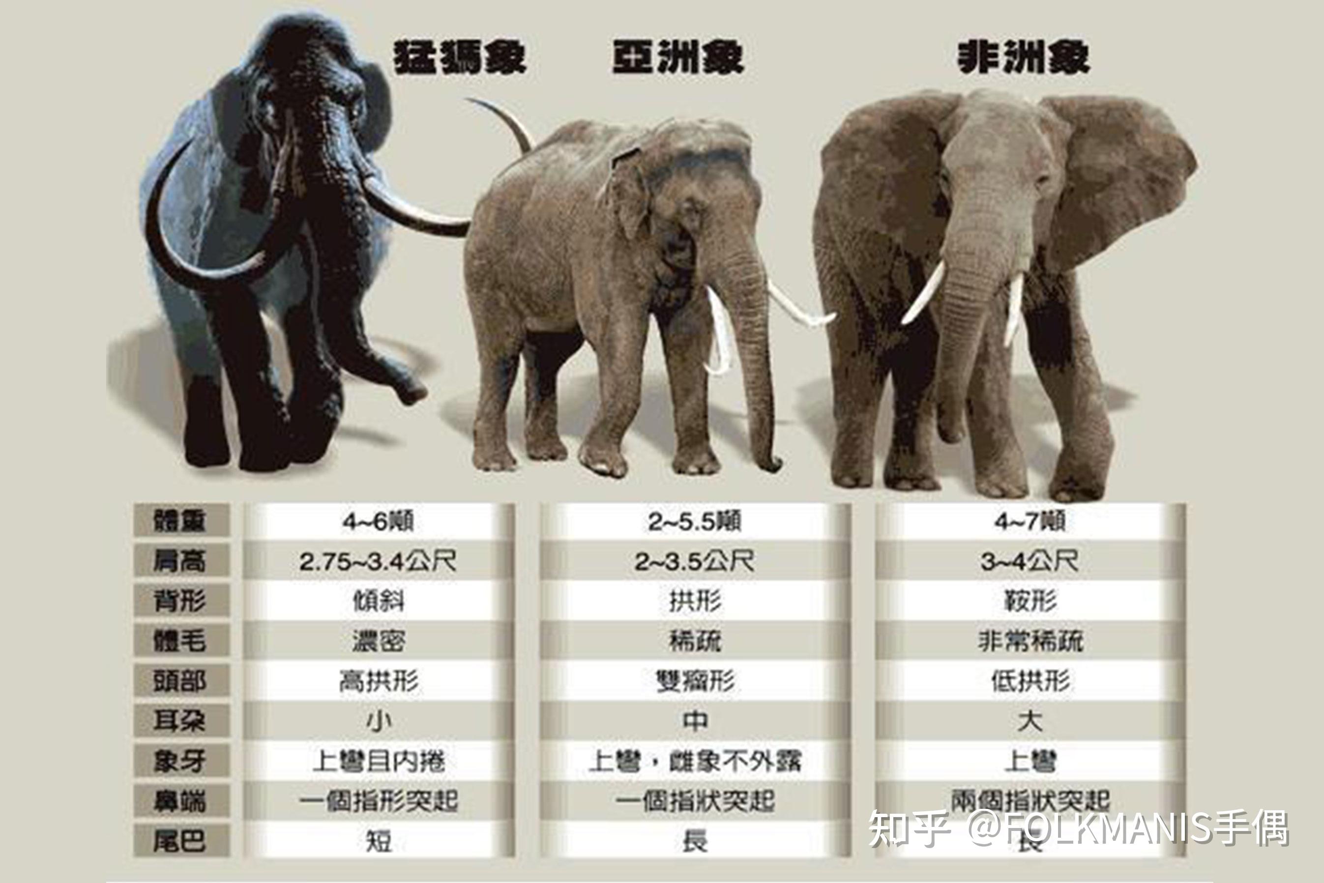 一路"象"北!这个"亚洲天团"正上演一场说走就走的旅行