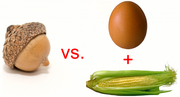 那些年被我们误用已久的英文表达 知乎