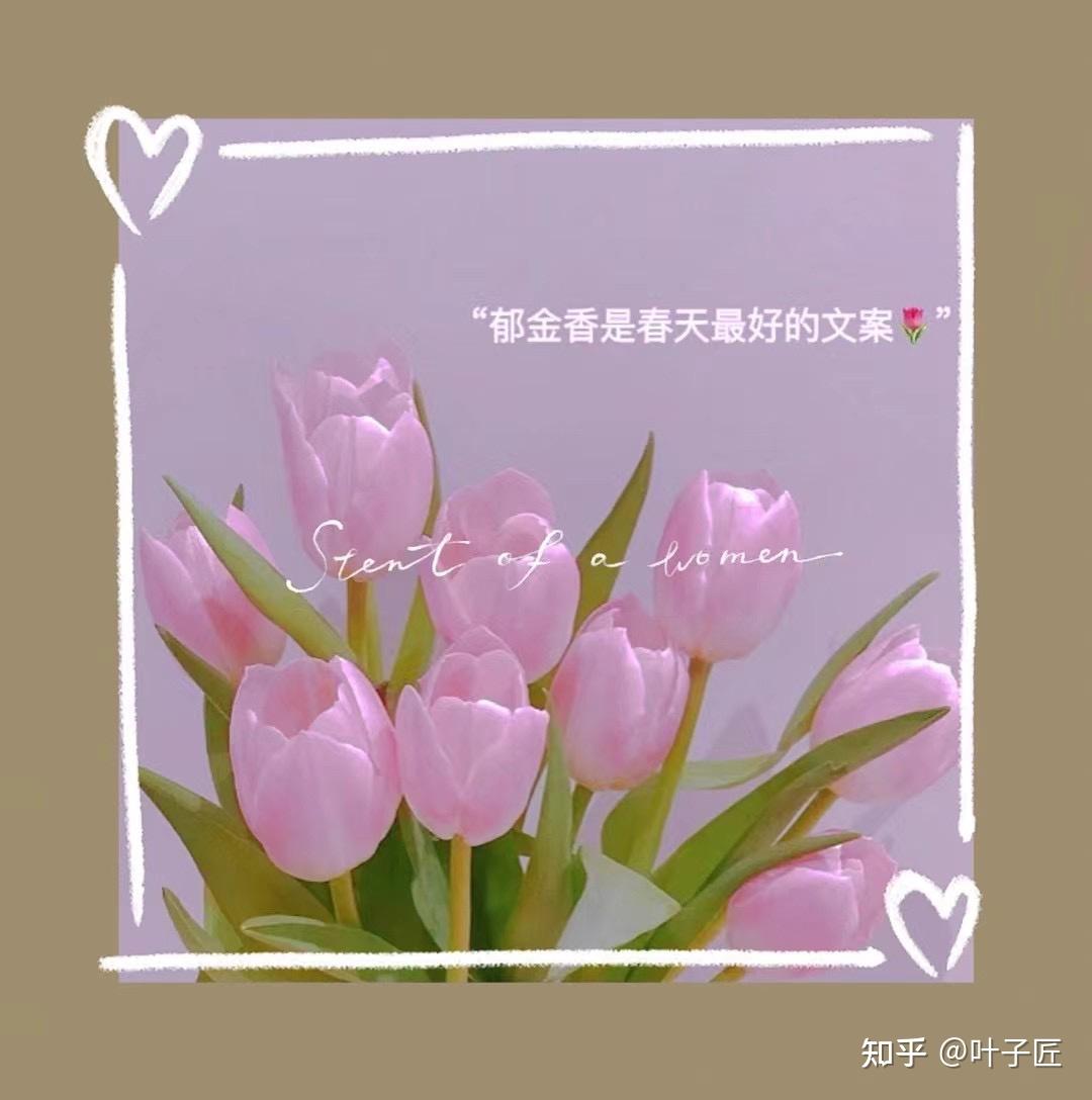 2022虎年:22条温柔治愈的风景经典文案! - 知乎