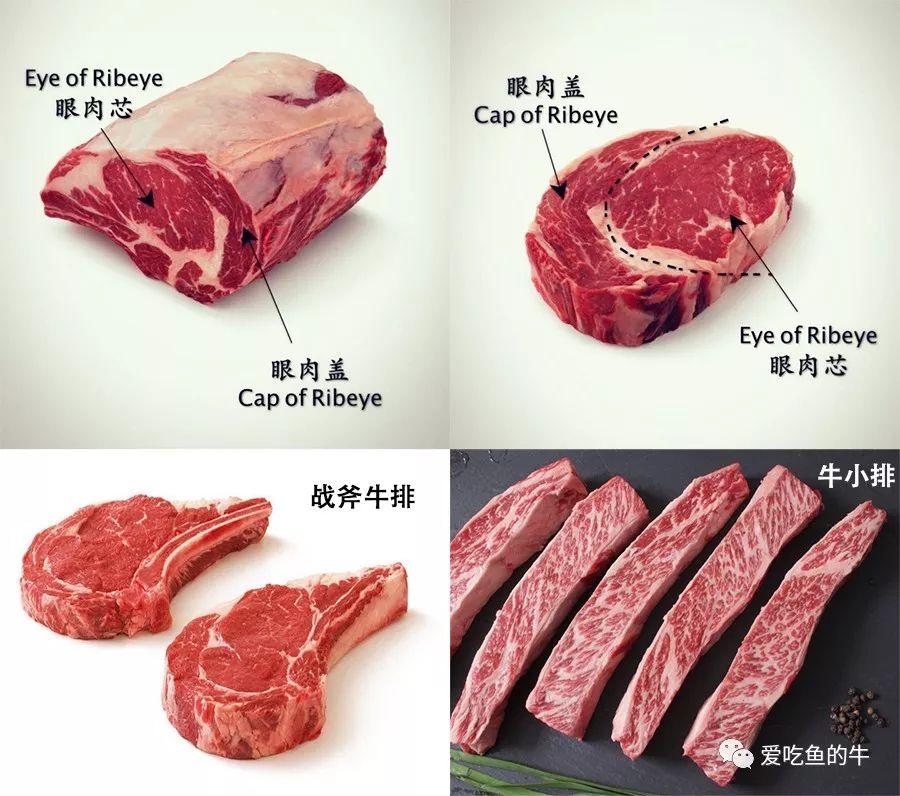 牛肉筋膜料理 Playmisty