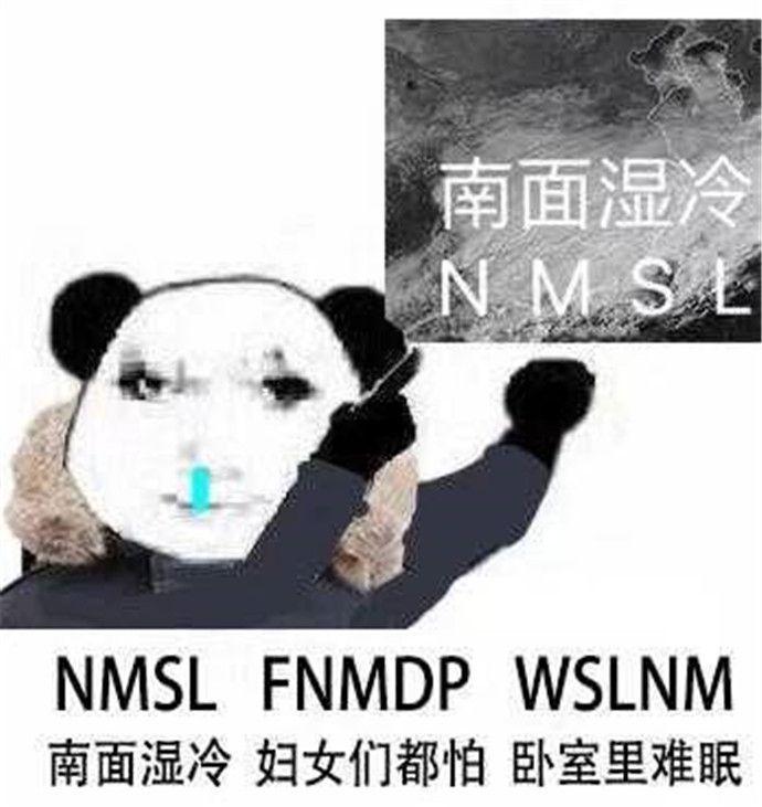 翻譯翻譯到底什麼tmd叫tmd拼音縮寫