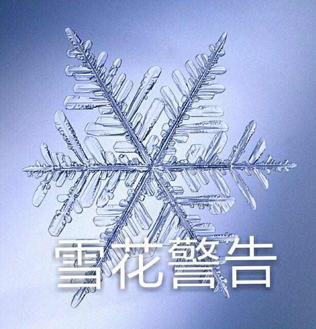 如何理解雪崩时没有一片雪花是无辜的这句话有没有道理为什么