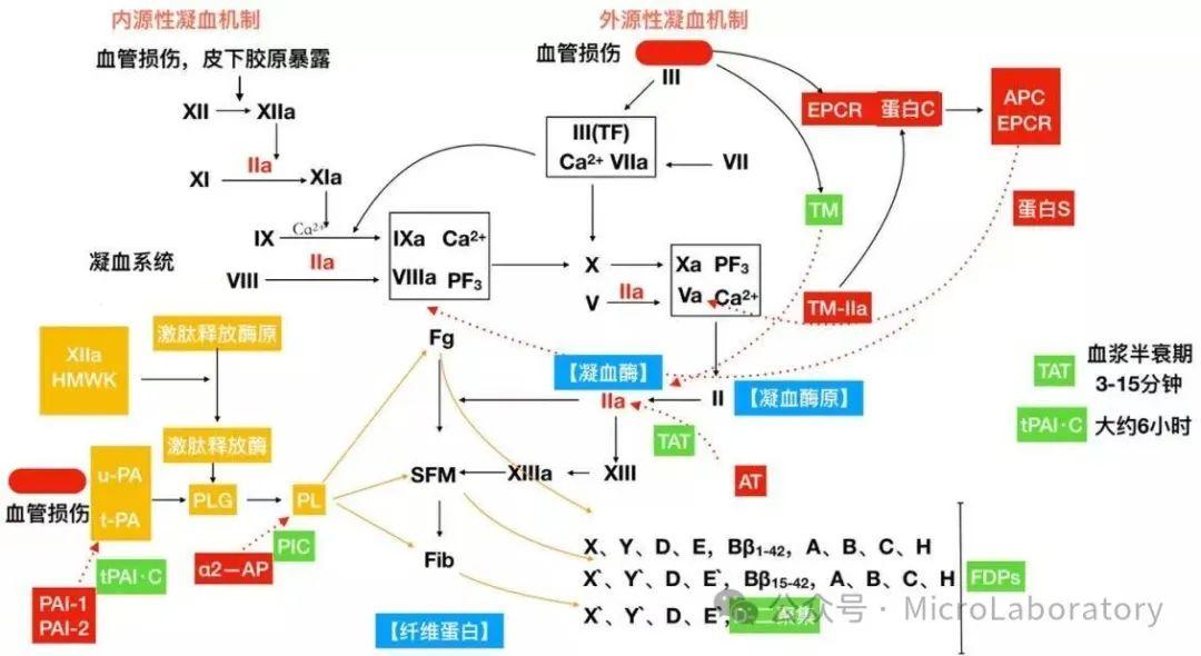 为什么凝血检测样本必须要离心15分钟? - 知乎