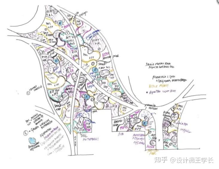 设计留学 | 植物分析与植物表现,都有哪些常见的形式? - 知乎