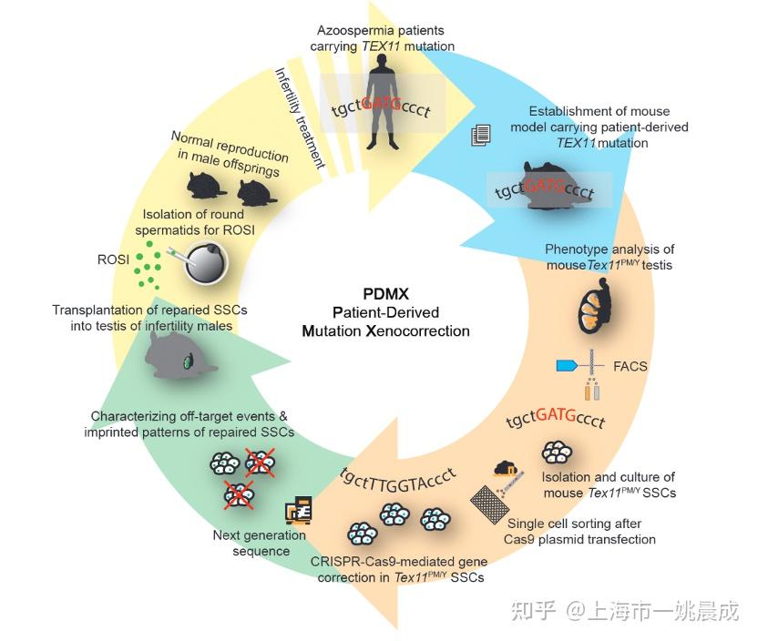 monogenic causes of non