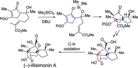 一种来自八角茴香果实的神经保护天然物倍半萜illisimonina的全合成和