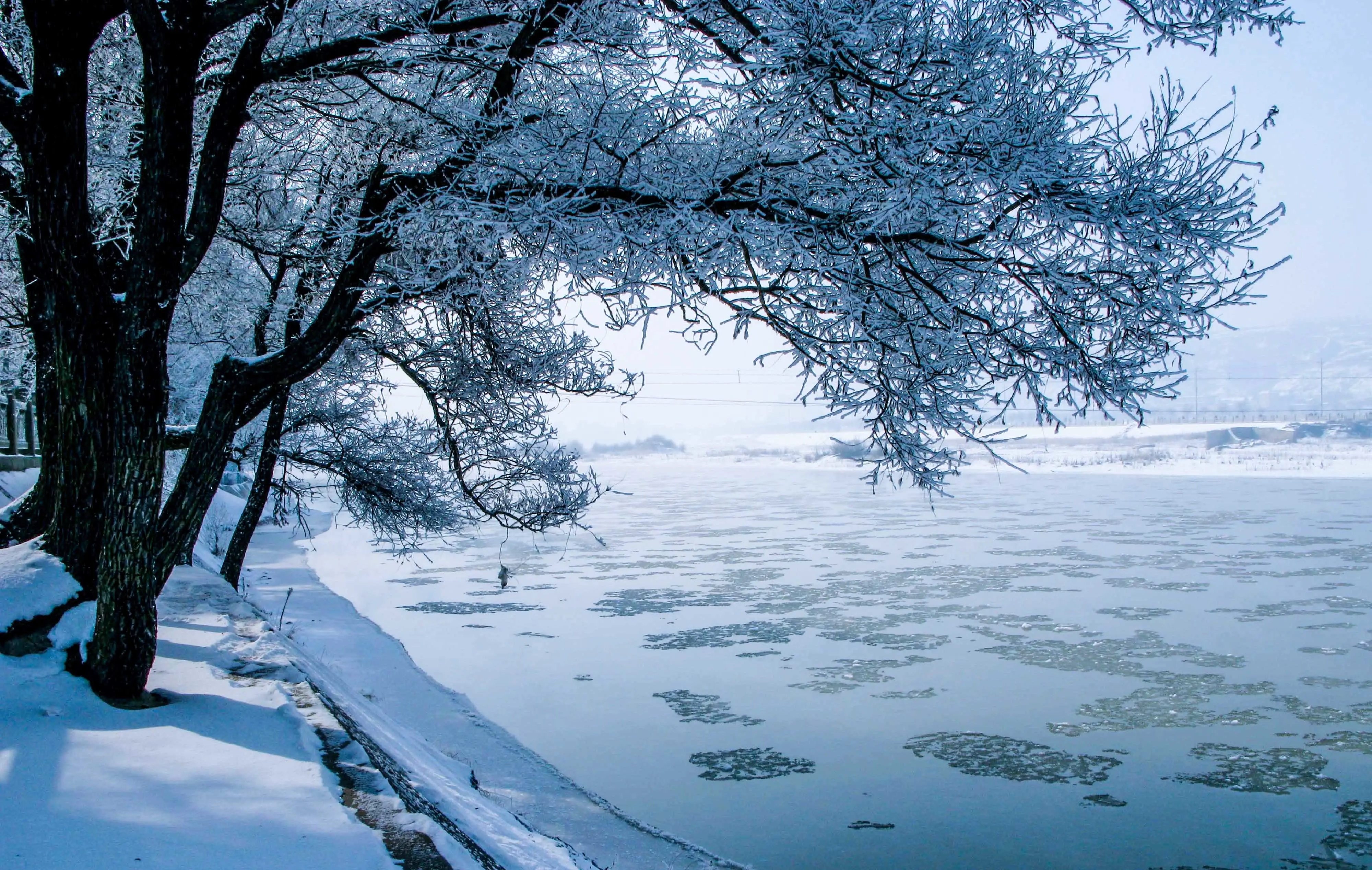 凭栏听雪，一起读定西…… - 知乎