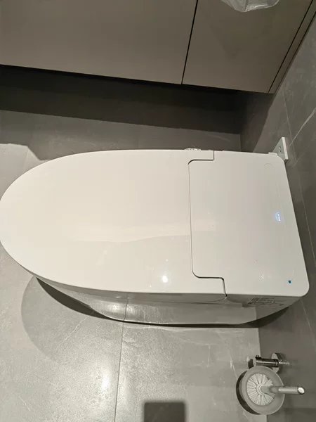 高仪艾吉娜智能马桶,你的双11必入好物!