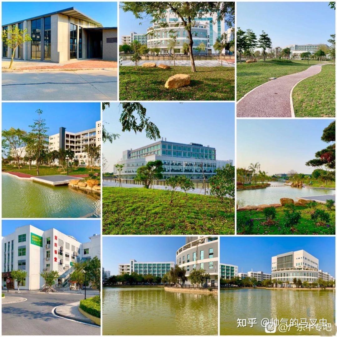 高职扩招最后一年