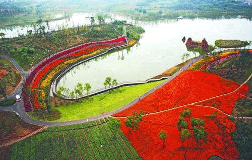 春日暖阳踏青吃喝玩乐就到三圣乡白鹭湾印象花园