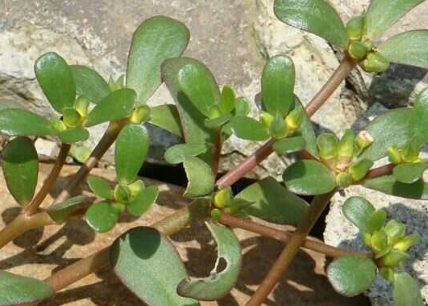 v2-27bf4fa21c61137d299c23cc4659ff80_1440w.jpg?source=172ae18b