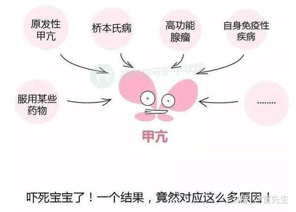 甲功检查知多少 这些你都做对了吗 知乎