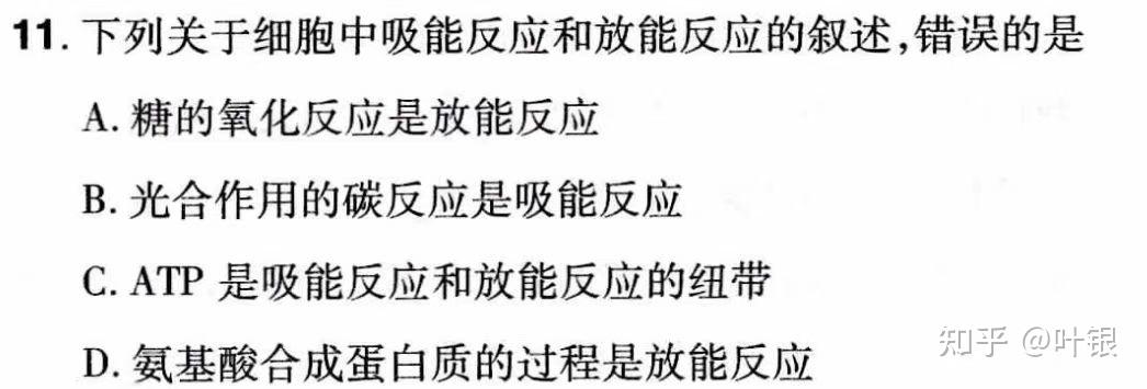 关于光反应和暗反应的几个易错点 知乎