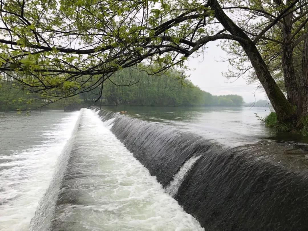 主编寄语丨俞孔坚从桃花源看社会形态与景观韧性