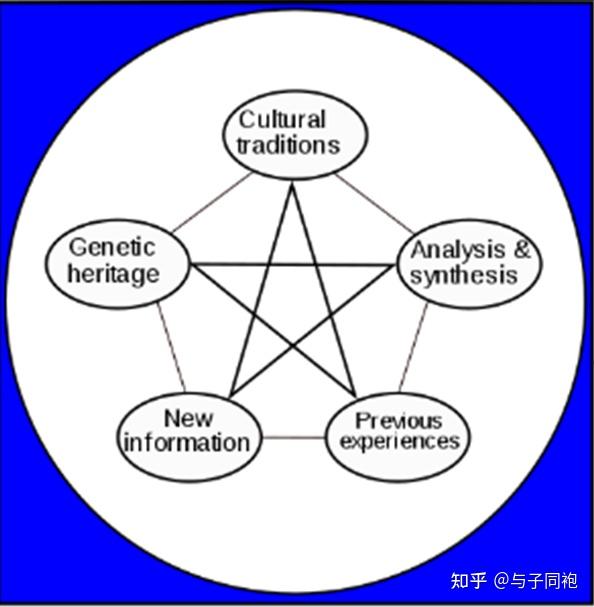 深入理解ooda循环在数字工程的应用