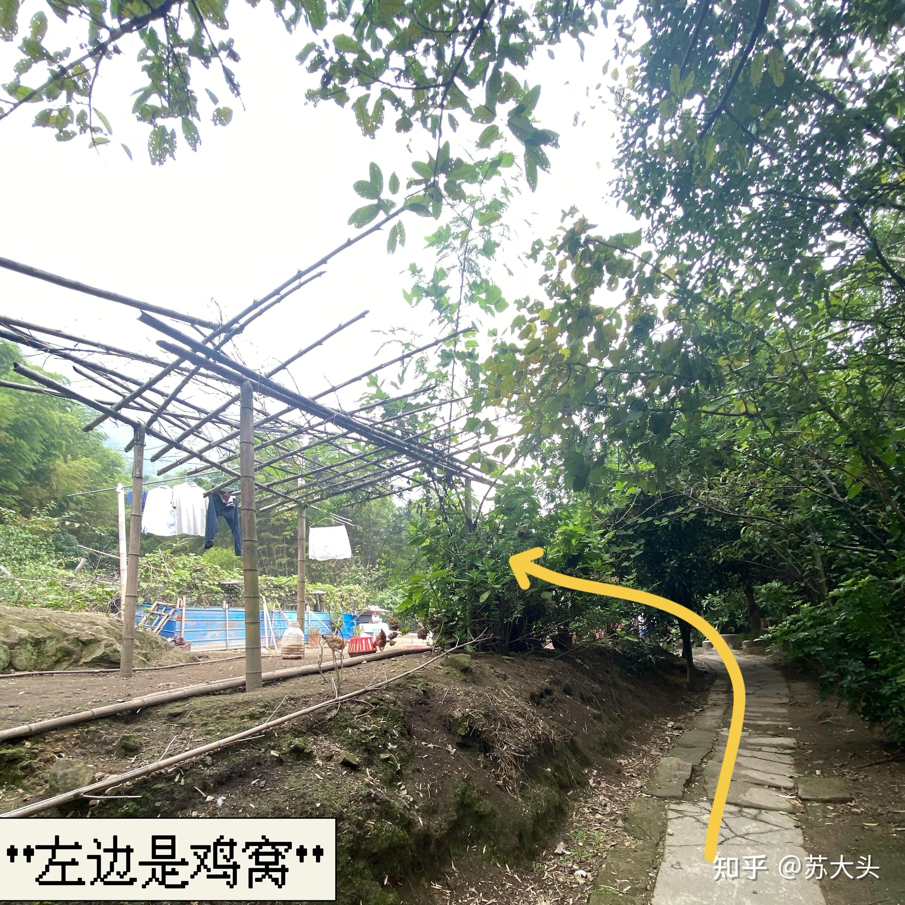 重庆徒步爬山圣地：缙云山免门票上山详细路线指引 - 知乎