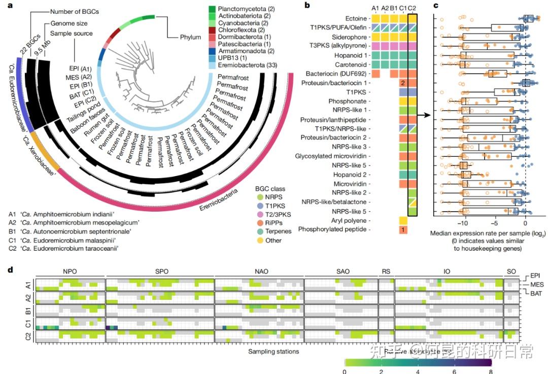 横跨4年，超2400张！《Nature》高清论文插图集下载 - 知乎