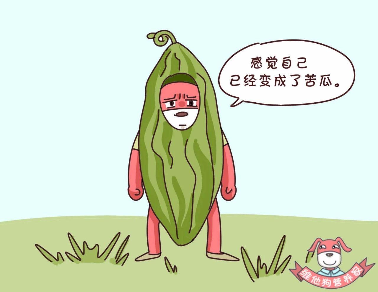 苦瓜,苦菊……夏天真的靠这些苦味蔬菜养生了?