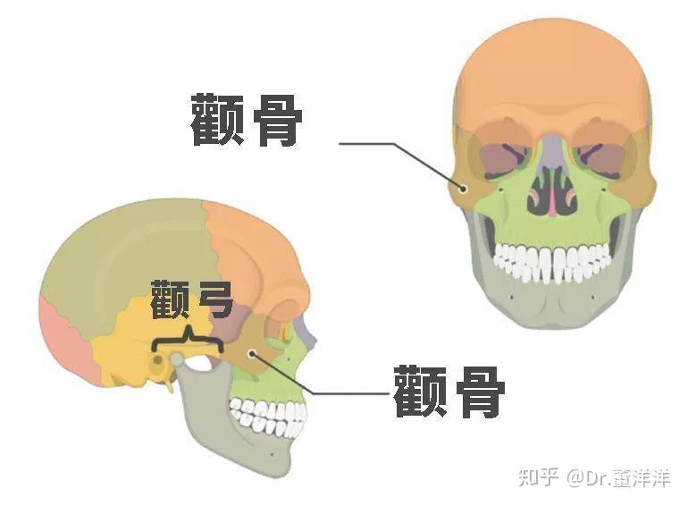 v2-280c746ad230b27491a7d6e6e614e8a2_r.jpg
